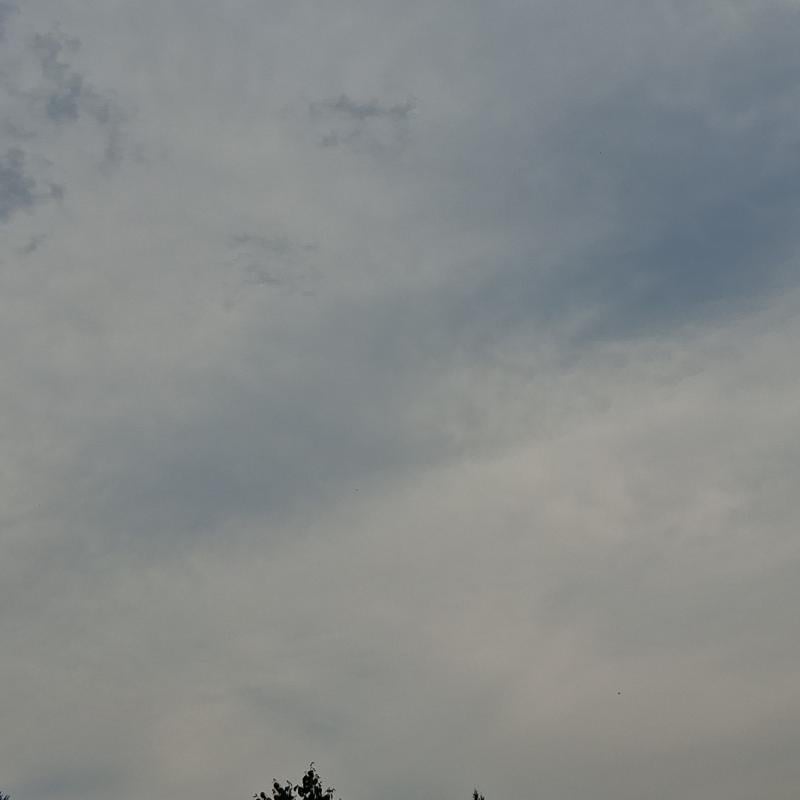 Fotosegnalazione di Pian del cansiglio
