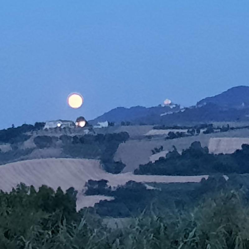 Fotosegnalazione di Montescudo - monte colombo