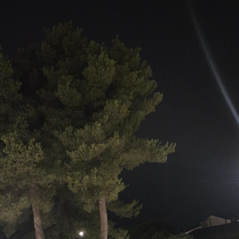 Fotosegnalazione di Suvereto