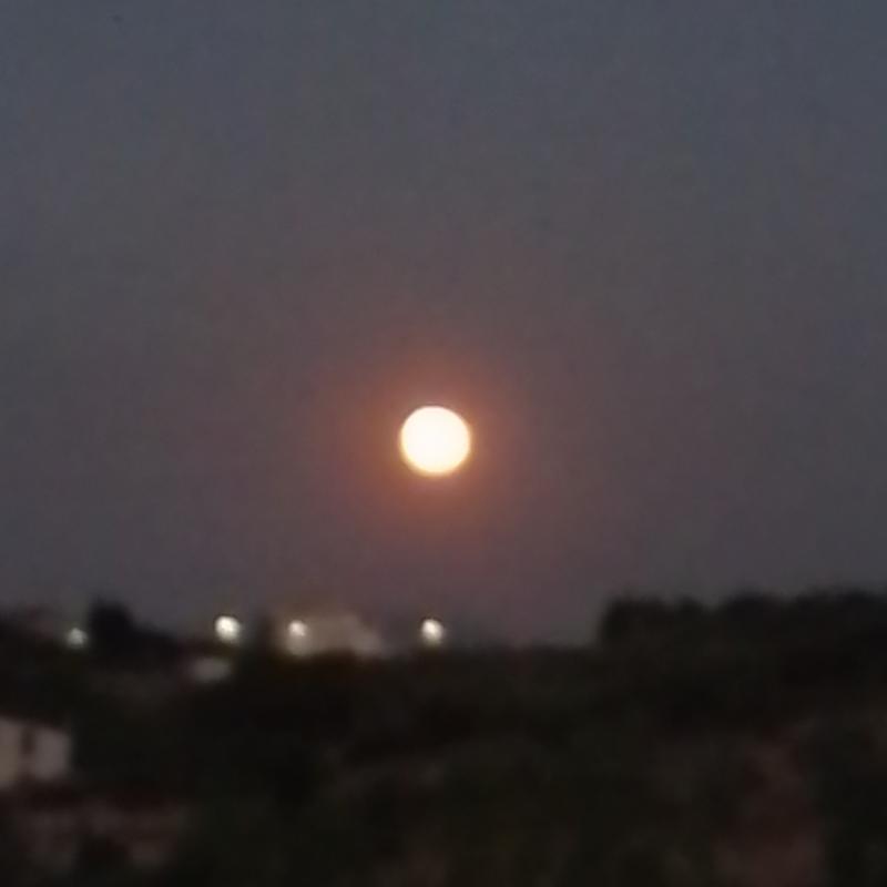 Fotosegnalazione di Cepagatti