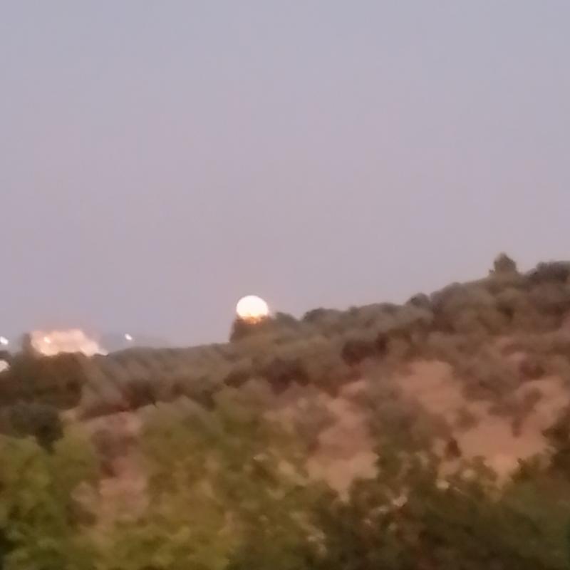 Fotosegnalazione di Cepagatti