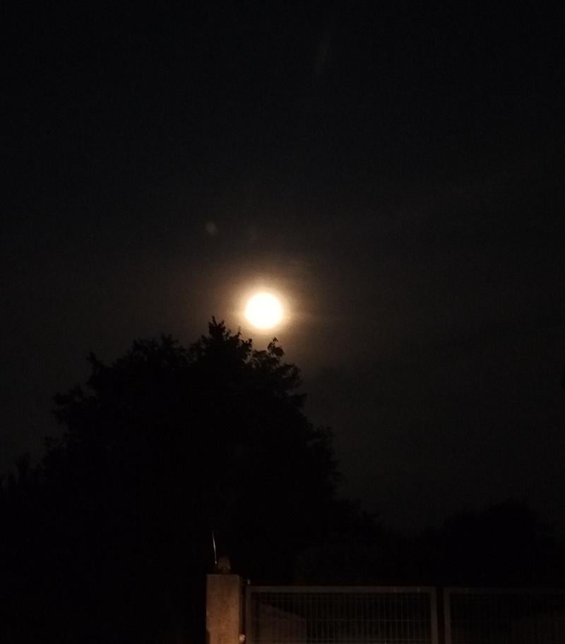 luna piena delle fragole