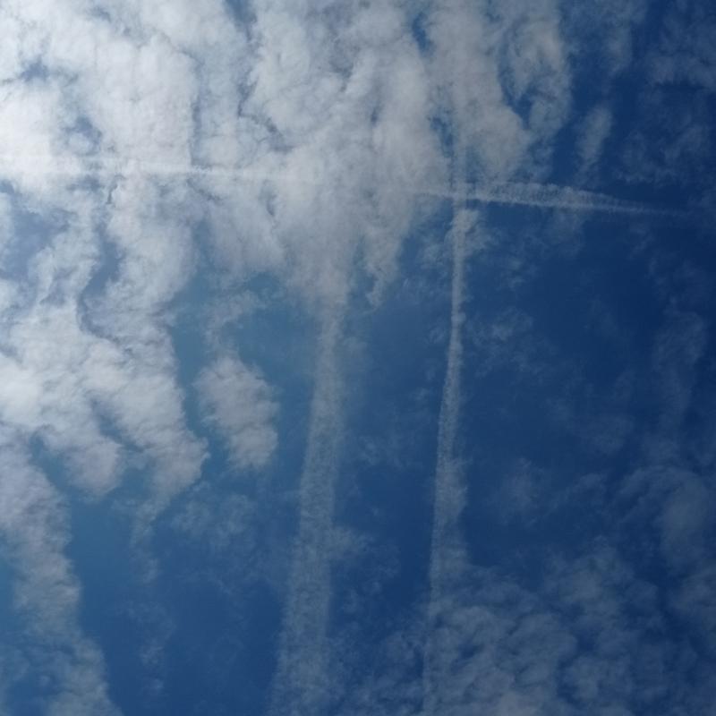 Creatori di velature sparse