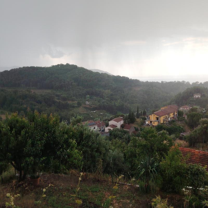 Fotosegnalazione di Torraca
