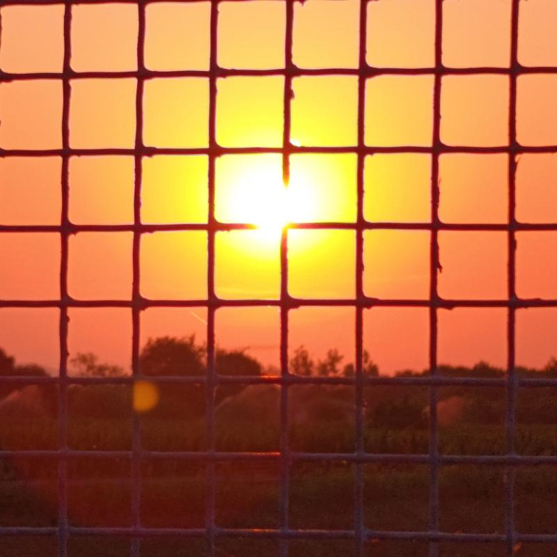 Fotosegnalazione di Mussolente