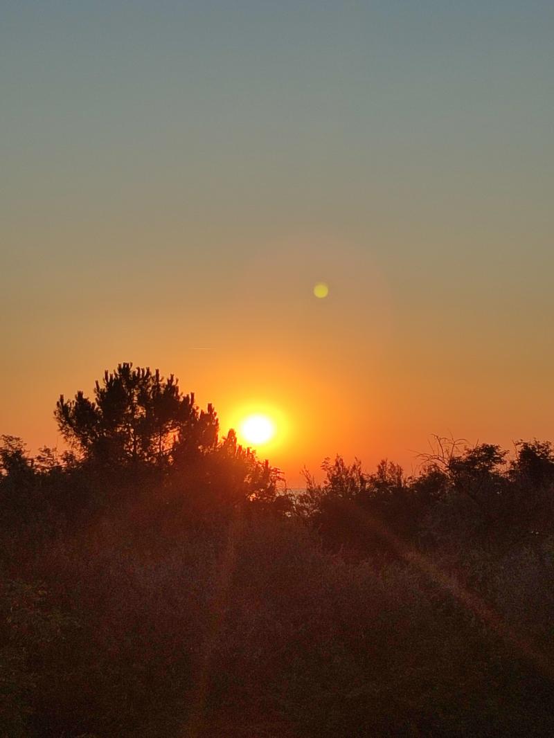 alba meravigliosa
