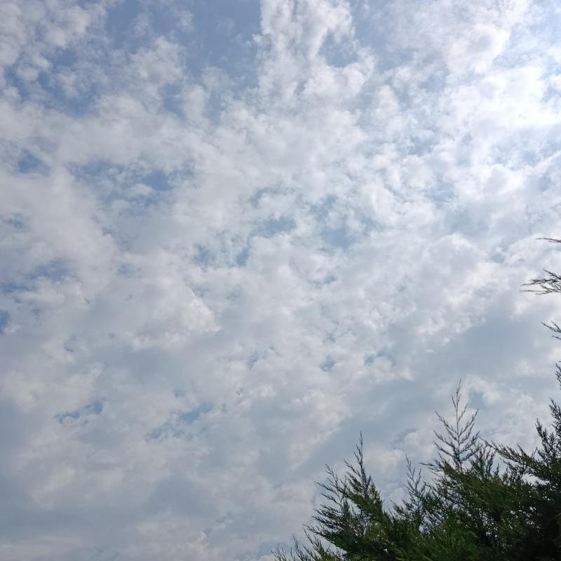 primo.luglio