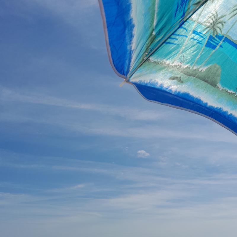 Fotosegnalazione di Porto san giorgio