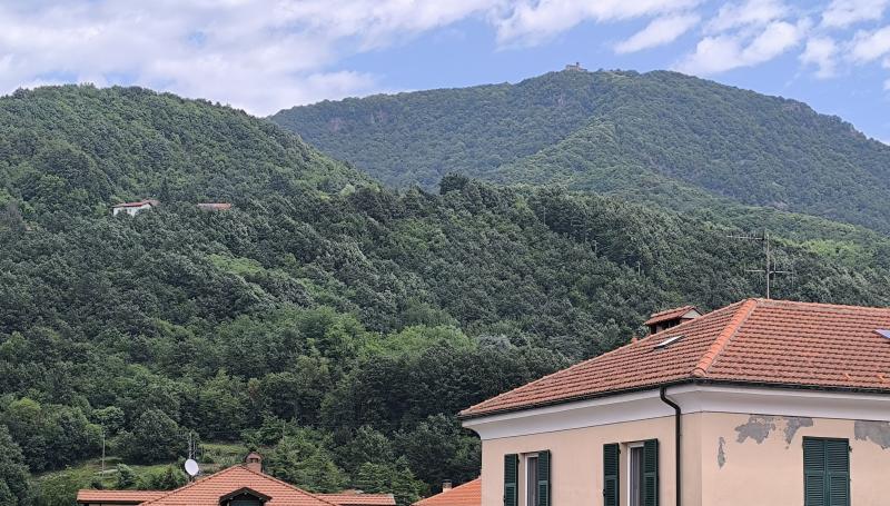 monte reale