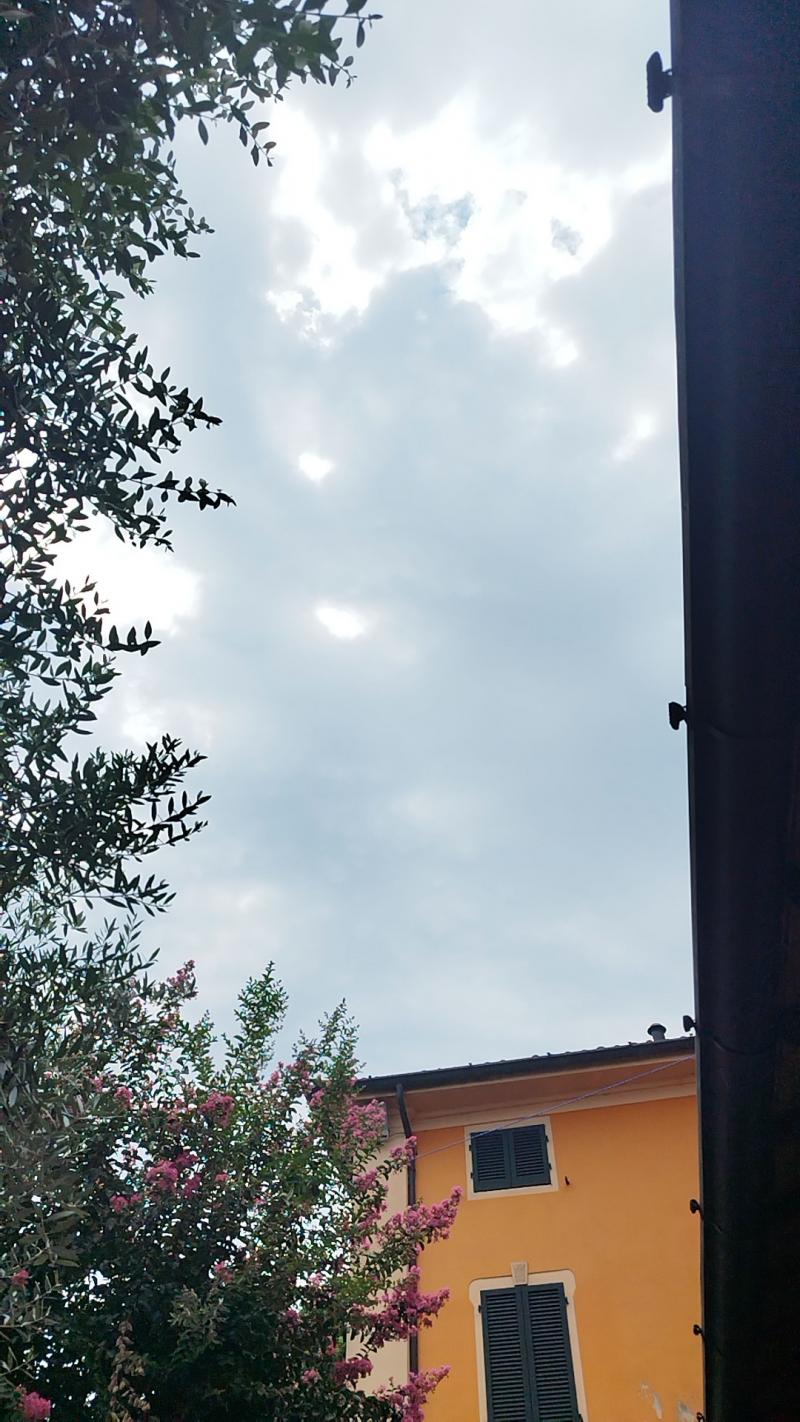 Nuvoloso