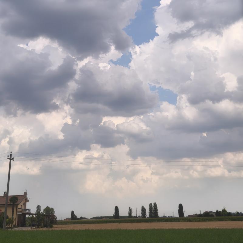 Fotosegnalazione di Guarda veneta