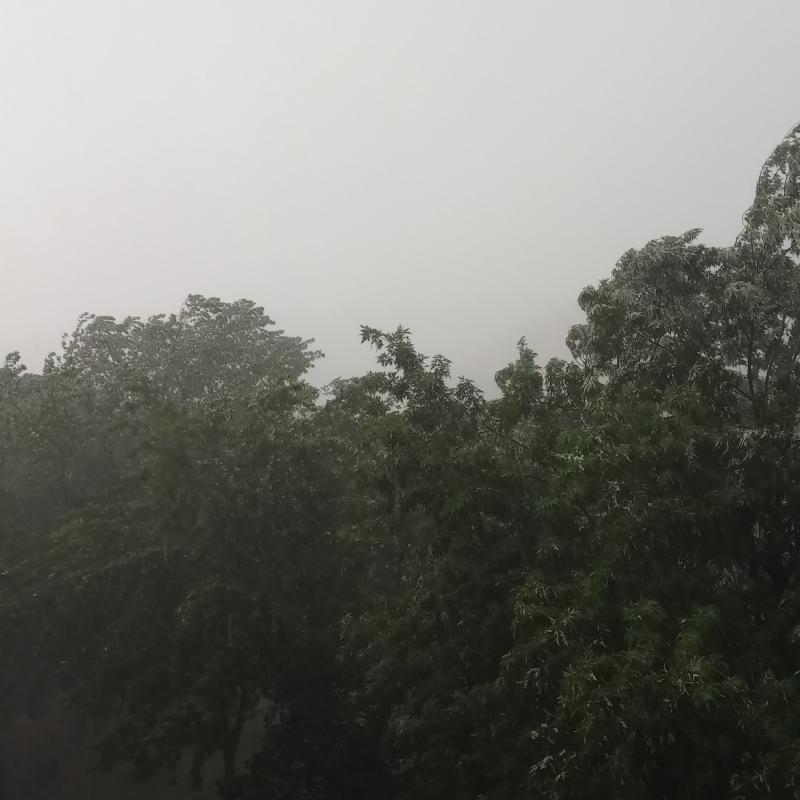 Fotosegnalazione di Arzignano