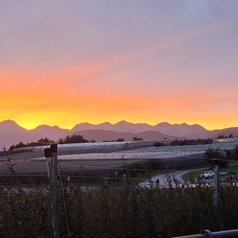 tramonto 1 7 26