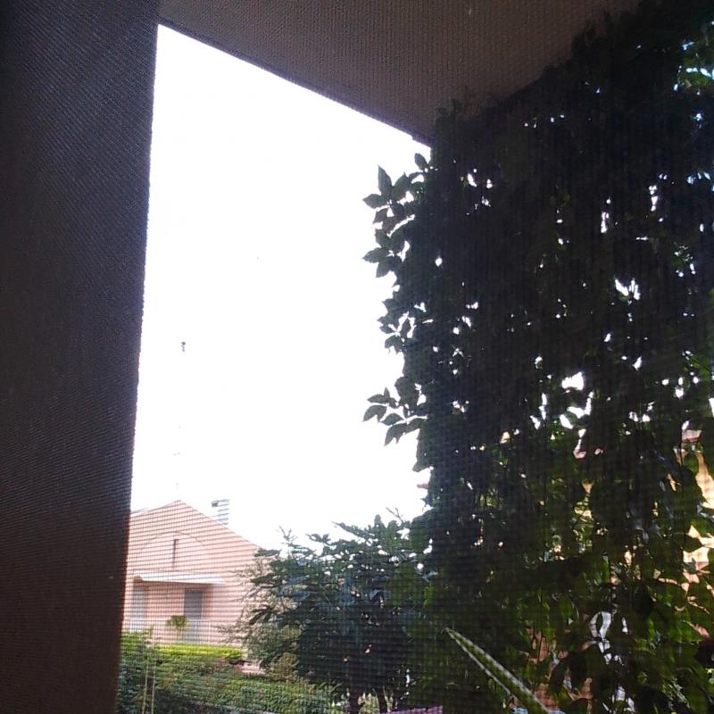 Fotosegnalazione di Tricesimo