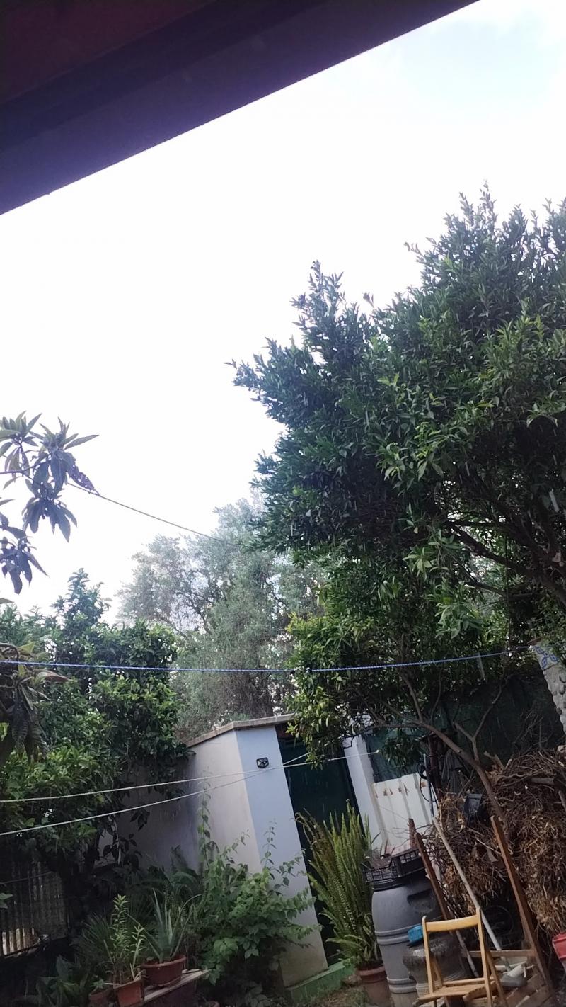 Piove