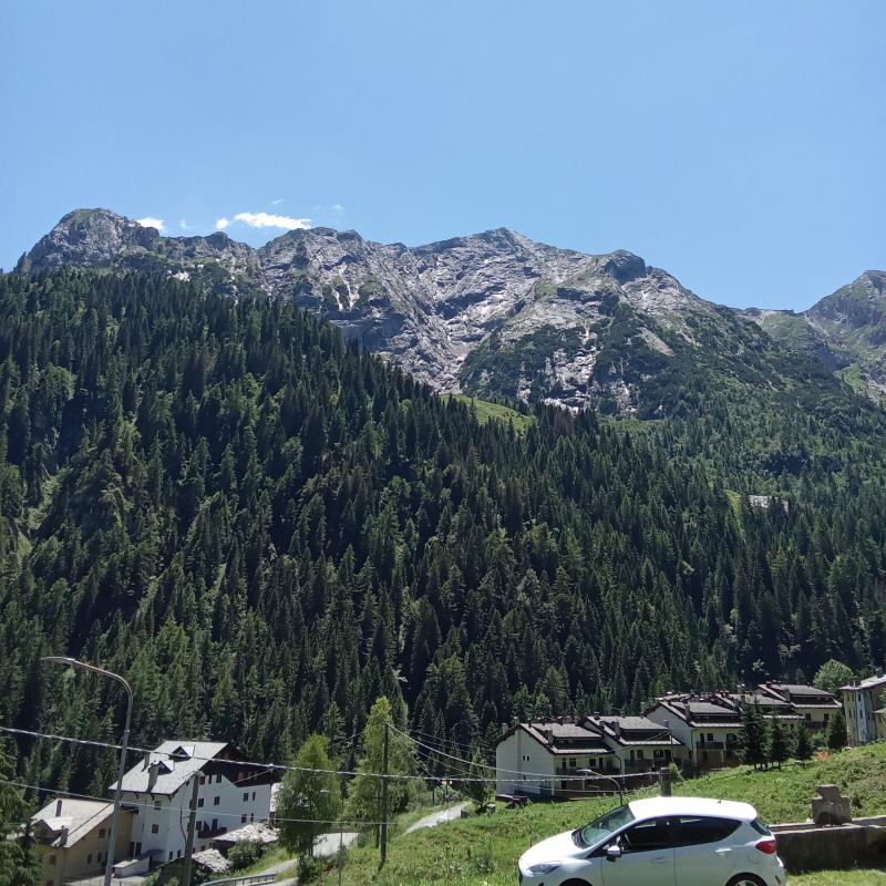 Fotosegnalazione di Cambrembo