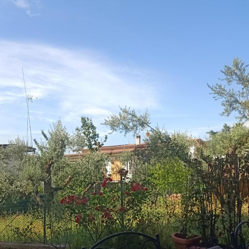Fotosegnalazione di Fonte nuova