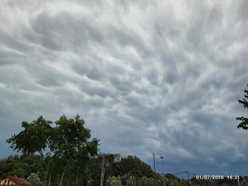 nuvole mammatus