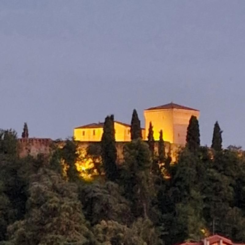 Fotosegnalazione di Cesena centro