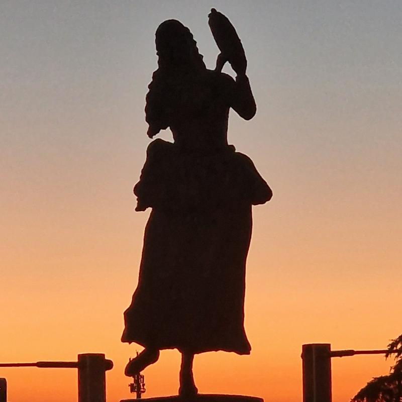 Fotosegnalazione di Cesena centro