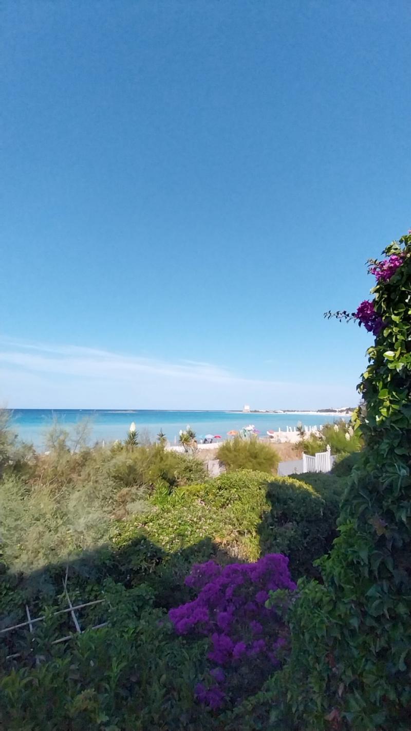 Le dune