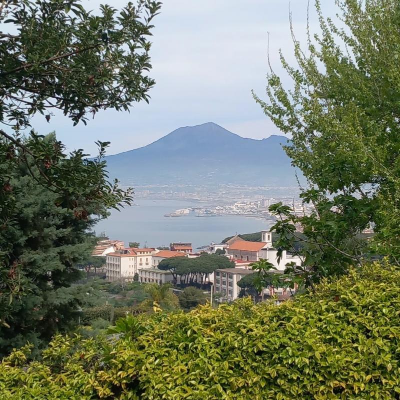 dalla reggia