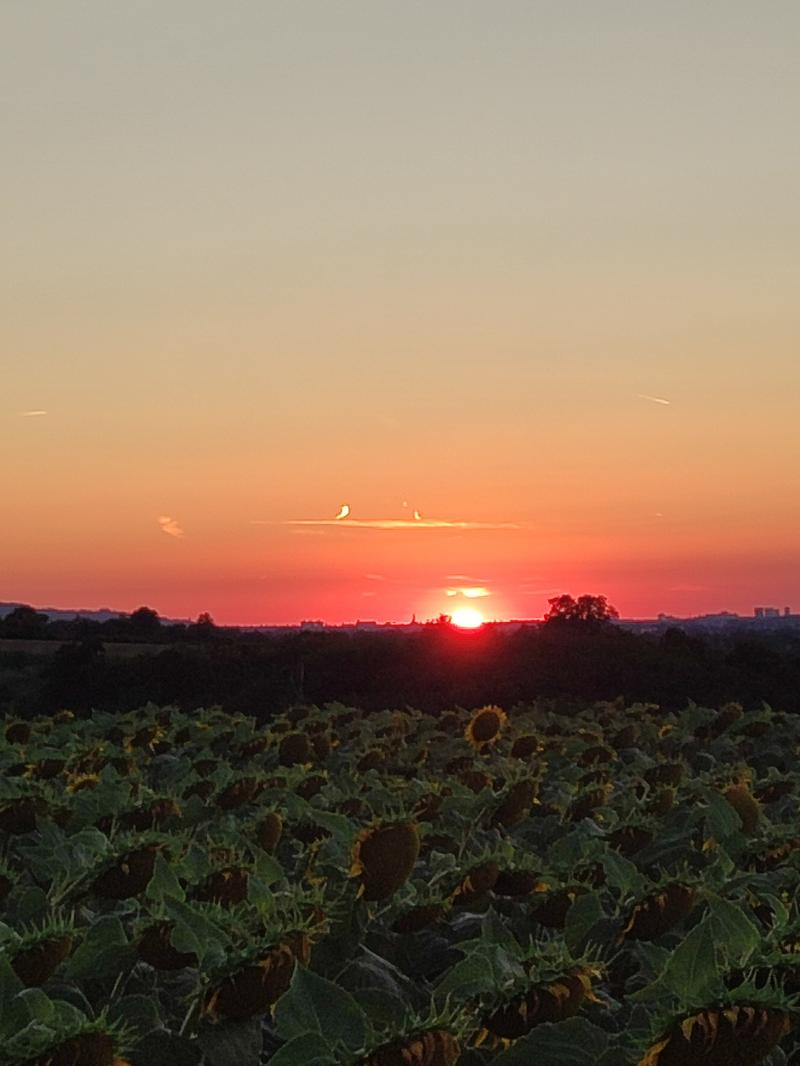 tramonto splendido