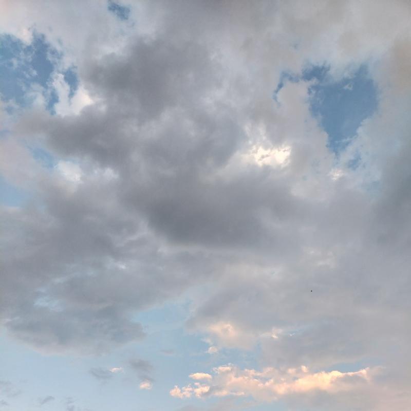 Fotosegnalazione di Praso