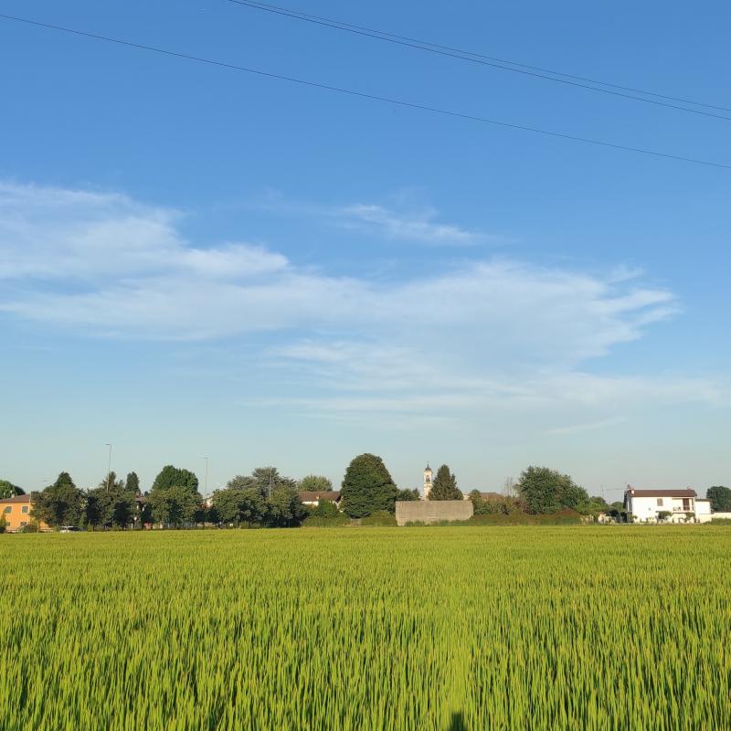 Fotosegnalazione di Zerbo