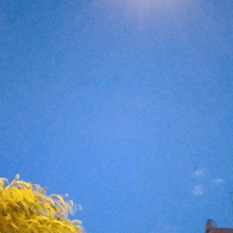 Fotosegnalazione di Castellana sicula