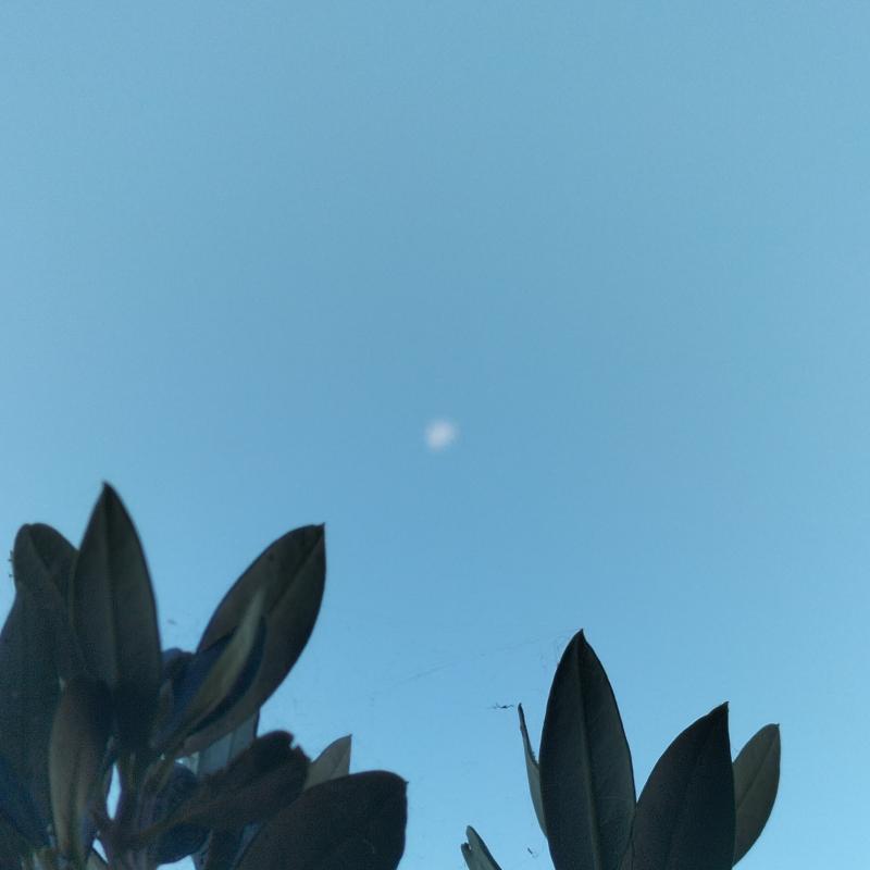 Fotosegnalazione di Vasto