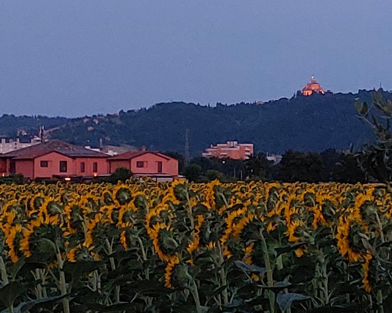 campagna casteldebole