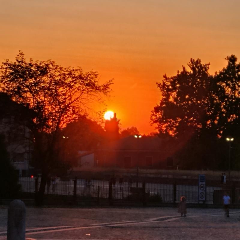 lodi