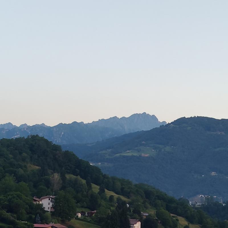 Alba
