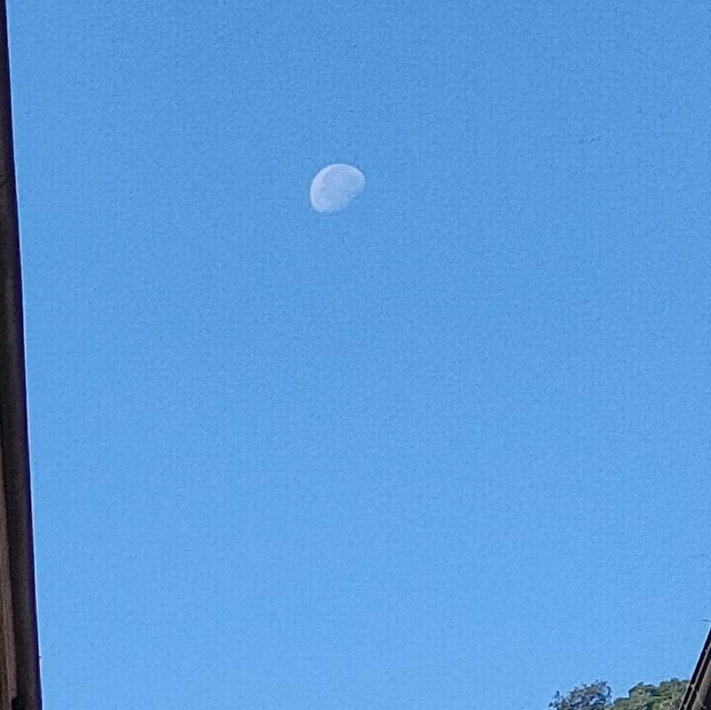 Fotosegnalazione di Como centro