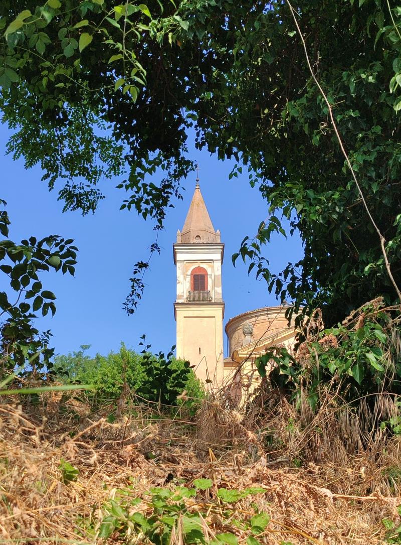 bellissima estate