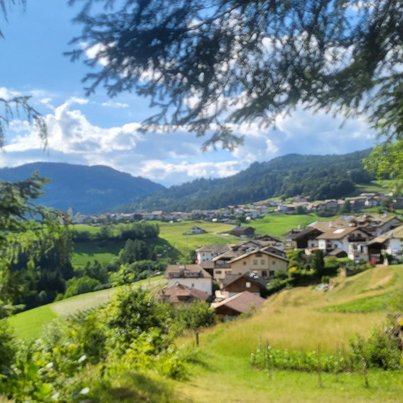 Anterivo