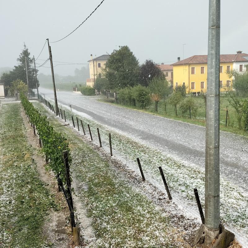 Fotosegnalazione di Fontanelle