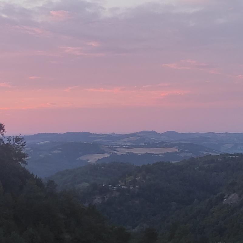 Fotosegnalazione di Livergnano