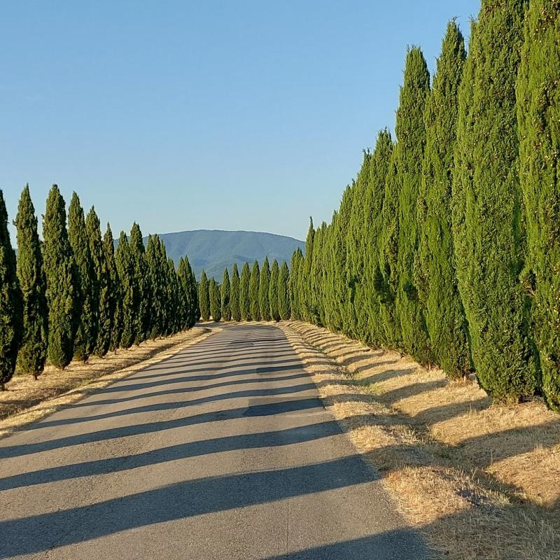 Mugello