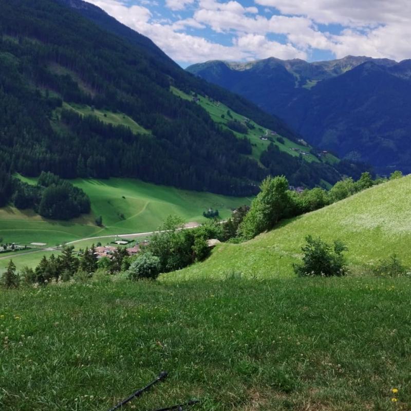 valle aurina