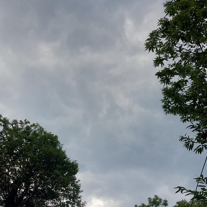 Fotosegnalazione di Serino