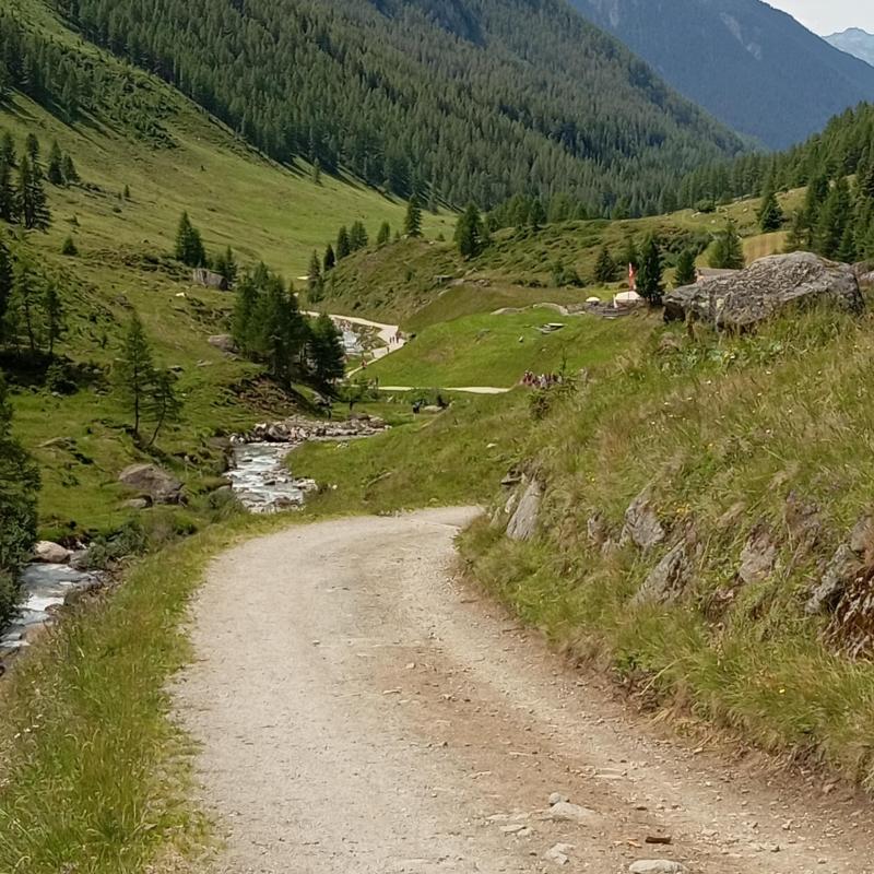 valle aurina