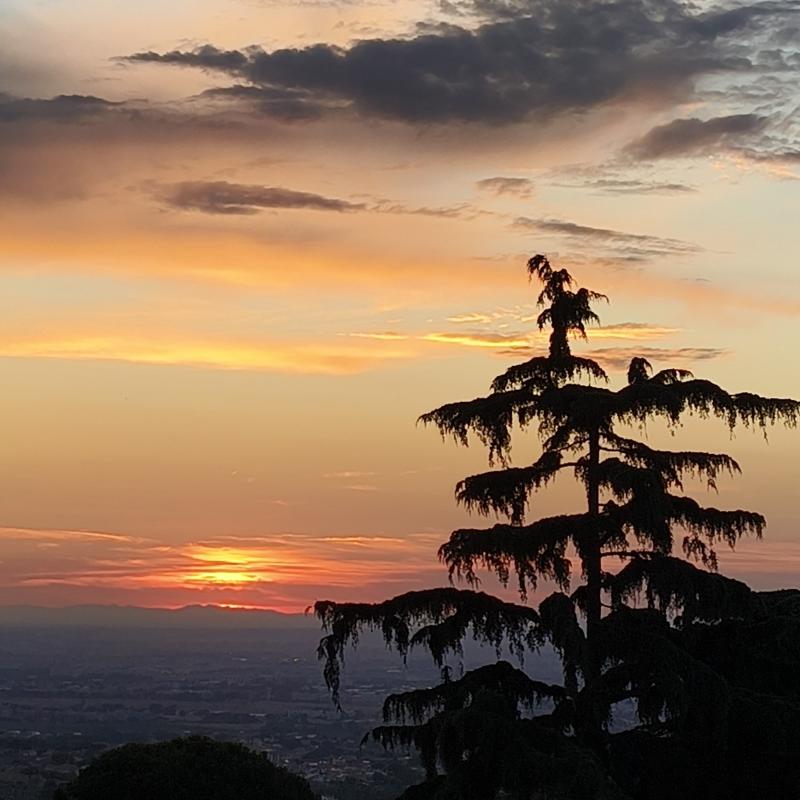 Fotosegnalazione di Frascati