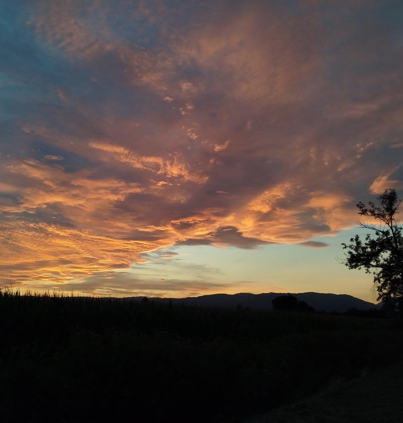 tramonti