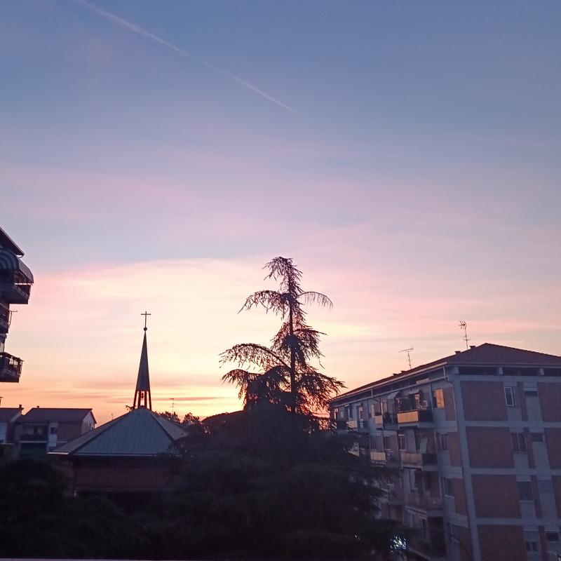 Fotosegnalazione di Mantova centro