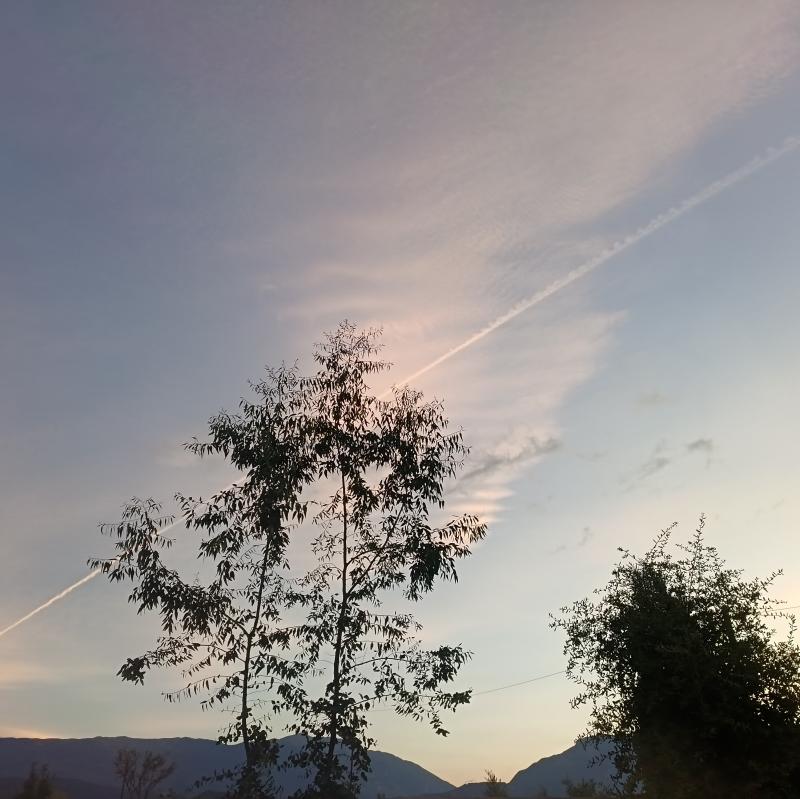Striscie naturali