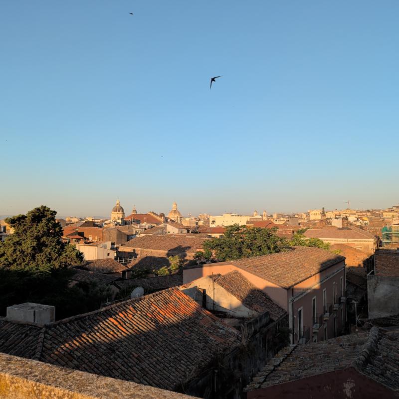 Catania