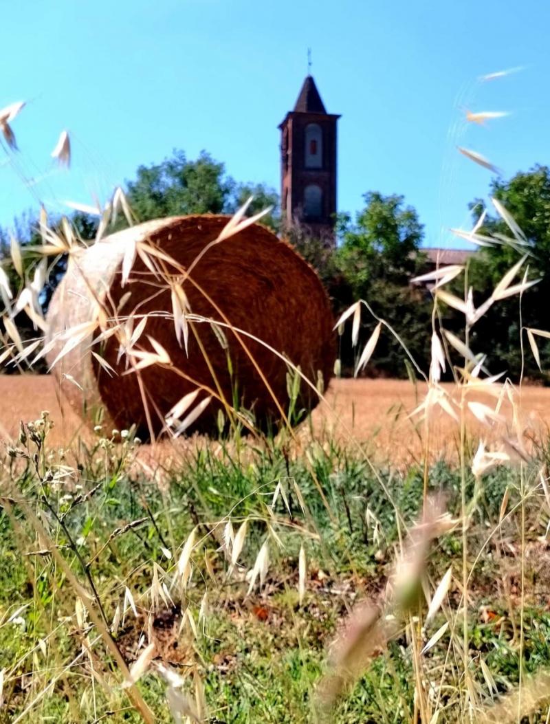 san maurizio di conzano