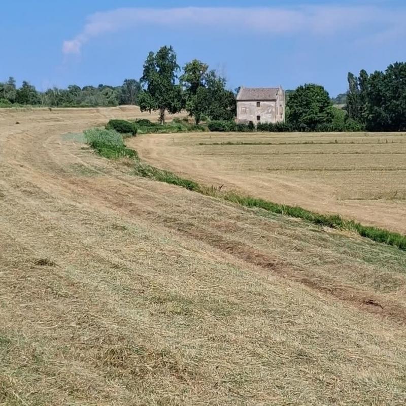 campi